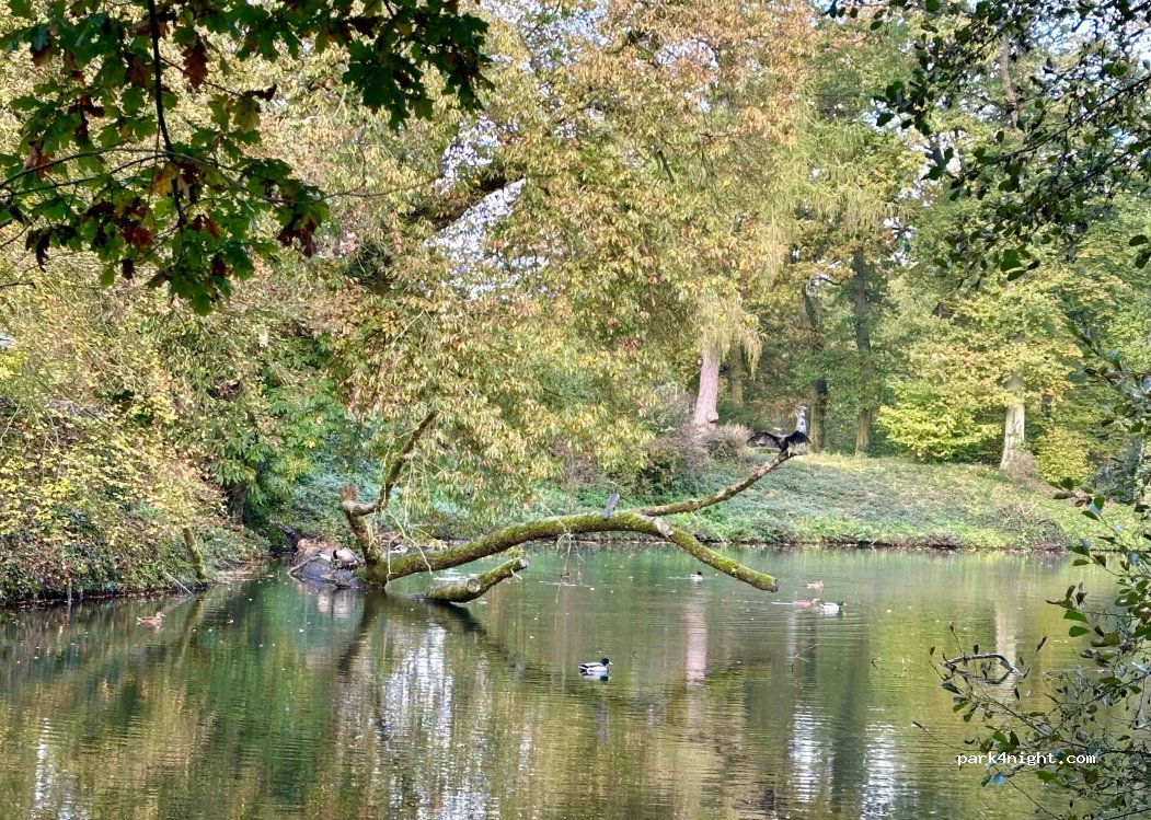 (41238) Mönchengladbach - Ritterstrasse — foto