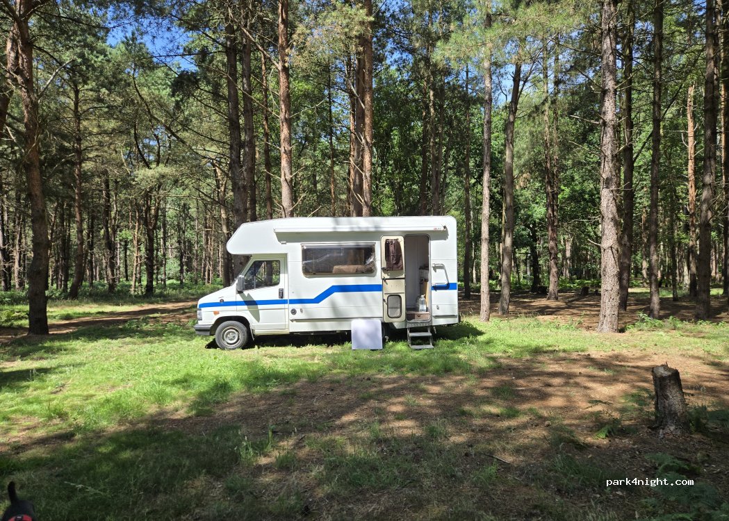 Holistic Woods WILD Campsite — foto