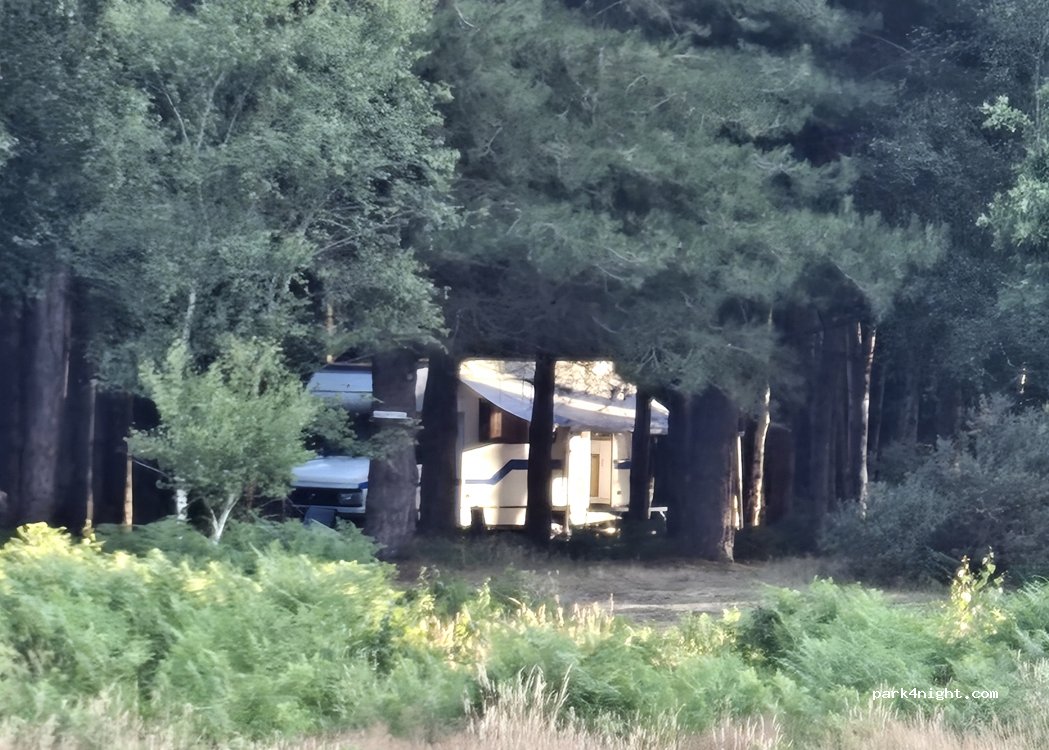 Holistic Woods WILD Campsite — foto 2