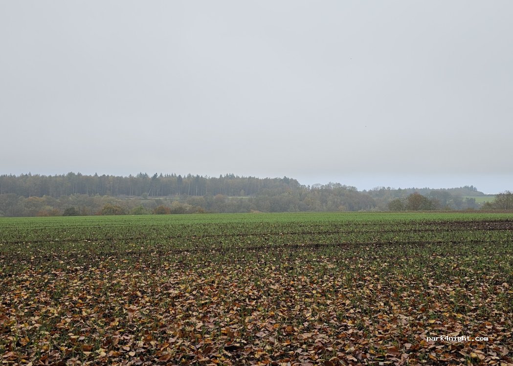 (66969) Lemberg - — foto 3