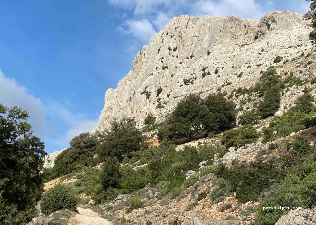 (08025) Oliena - Unnamed Road — foto