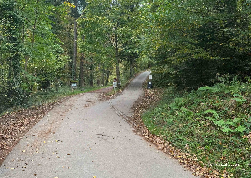 (79100) Freiburg im Breisgau - 42 Rehhagweg — foto 2
