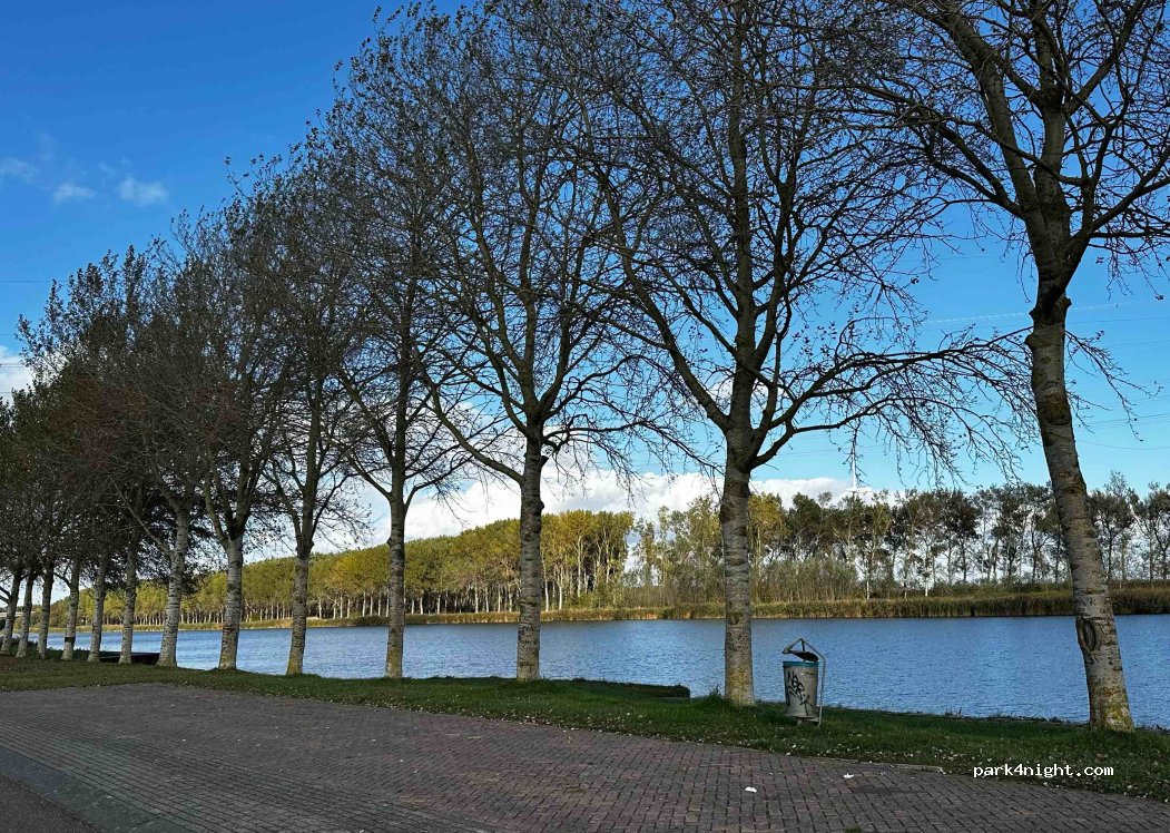 (4411) Rilland - Westelijke Spuikanalweg — foto