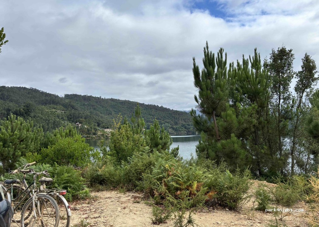 (3680) Oliveira de Frades - Unnamed Road — foto 5