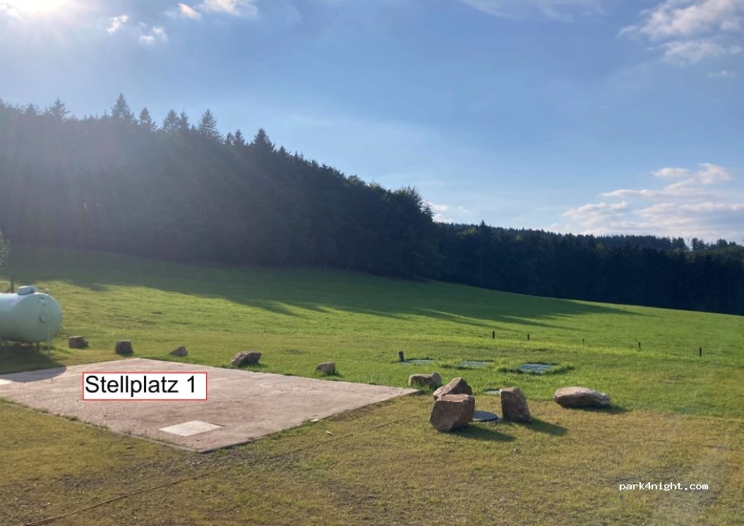 Waldbucht- Zauber — foto 4