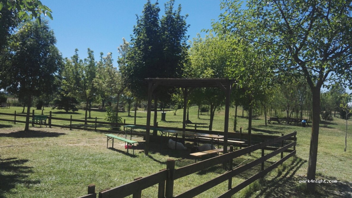 (15023) Felizzano - 75 Strada Provinciale 77 — foto 3