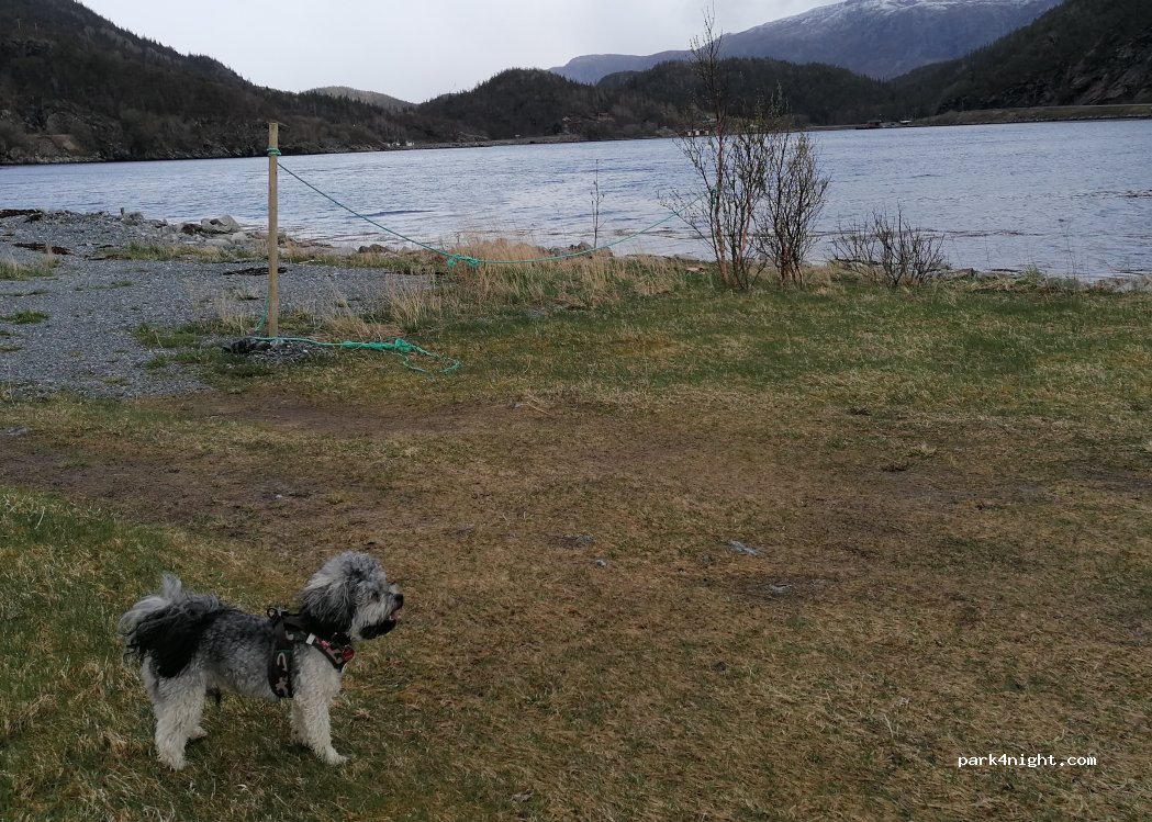 (7982) Bindalseidet - 1197 Holmsveien — foto 3