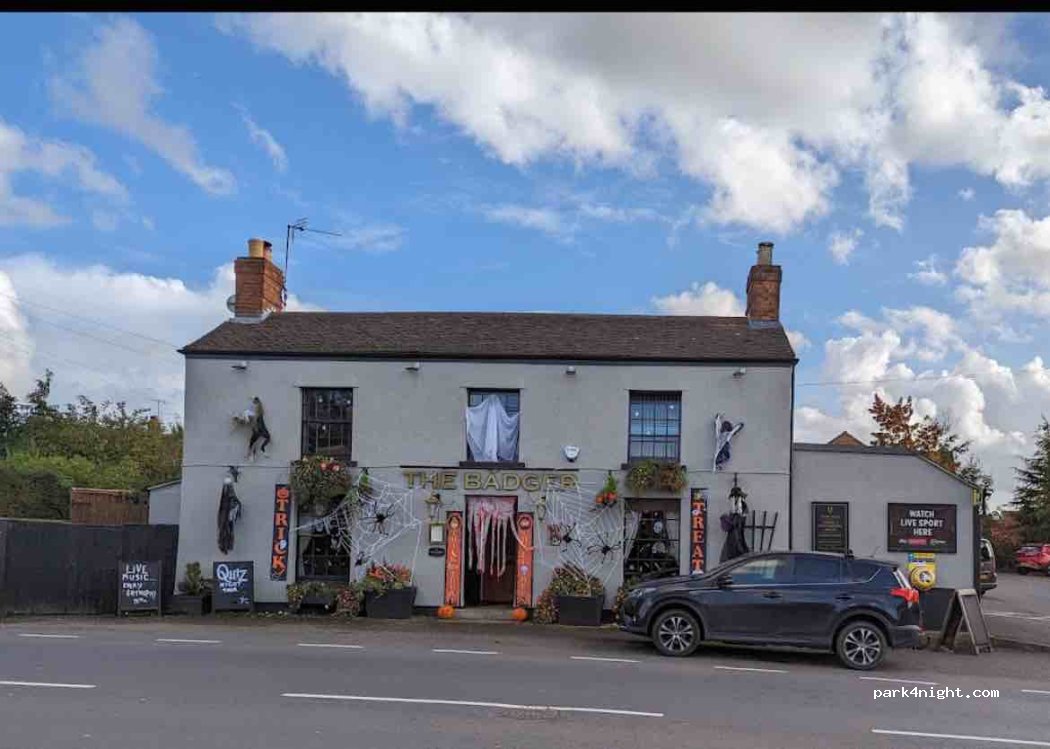 The Old Badger Inn — foto