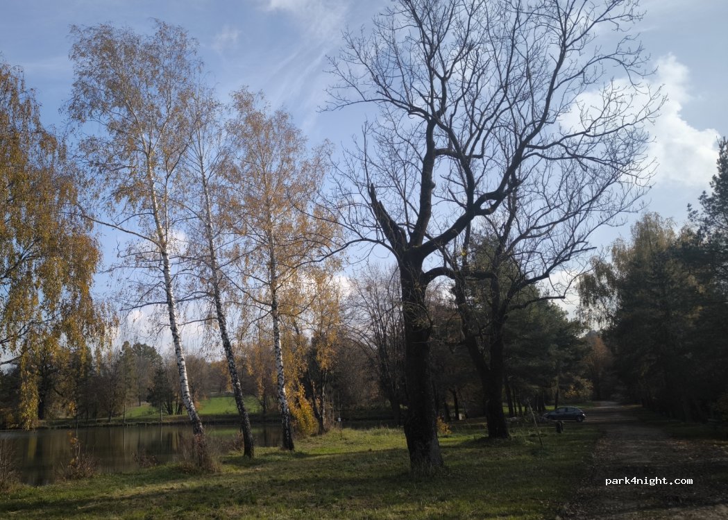 (43-400) Cieszyn - 12 Wiślańska — foto 3