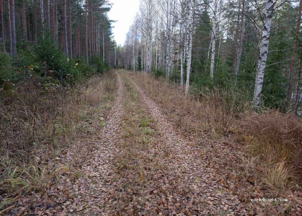 (812 90) Hofors - — foto 2