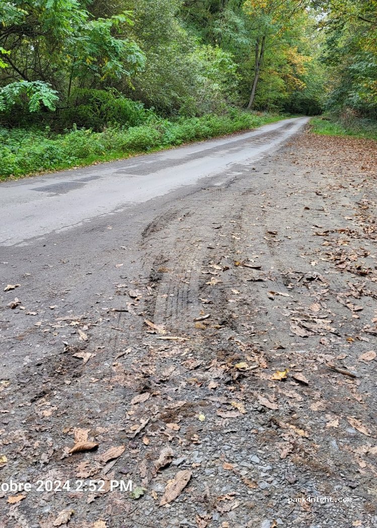 (35630) Hédé-Bazouges - 23 La Pechetière — foto 2