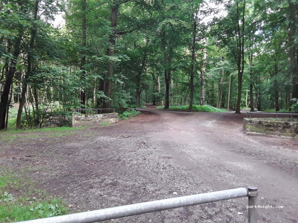(01099) Dresden -  Moritzburg-Pillnitzer Weg — foto