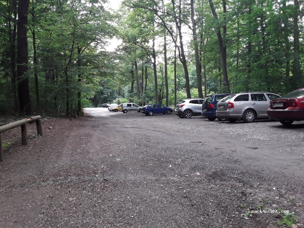 (01099) Dresden -  Moritzburg-Pillnitzer Weg — foto 2