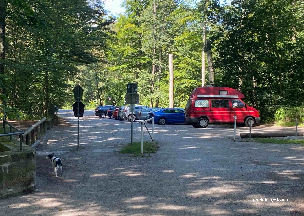 (01099) Dresden -  Moritzburg-Pillnitzer Weg — foto 4