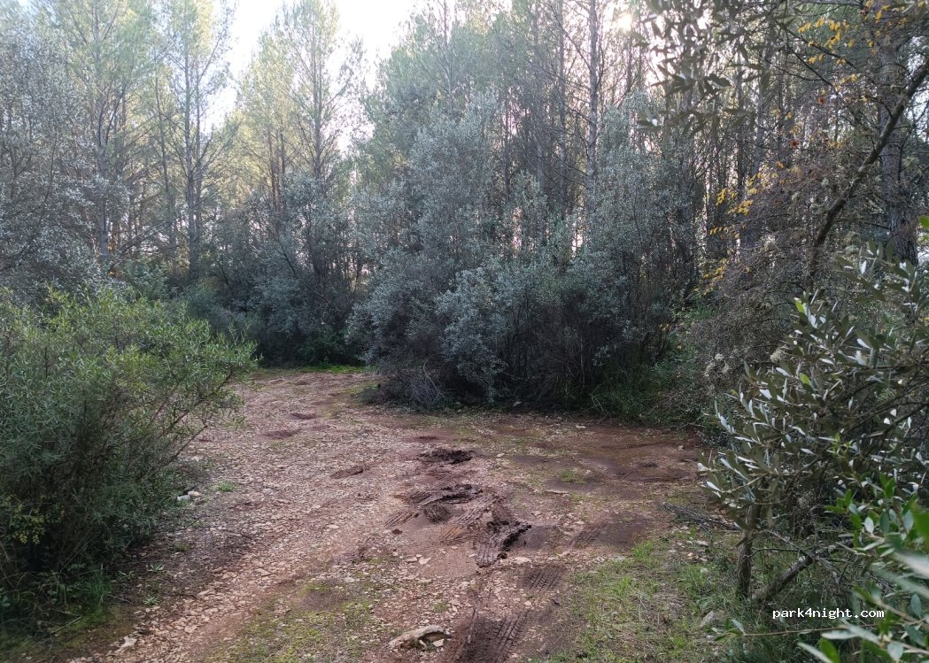 (83720) Trans-en-Provence - 1995 Chemin du Cassivet — foto