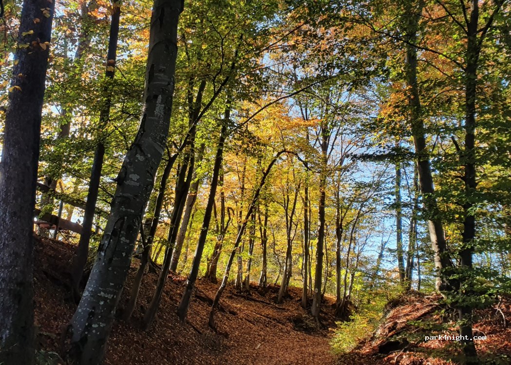 (8354) Frutten-Gießelsdorf - 34 Grenzland Hofweg — foto 2