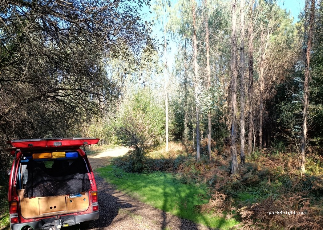 (15822) Cimadevila - Unnamed Road — foto
