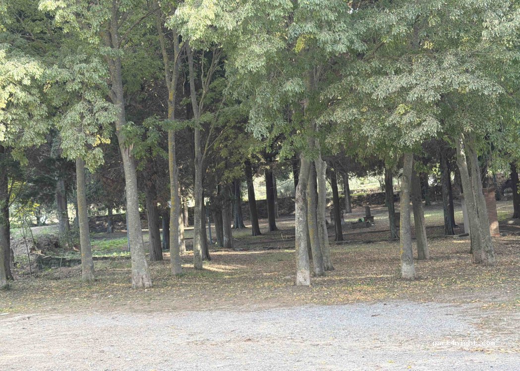 (09010) Fluminimaggiore - Corso G. Amendola — foto