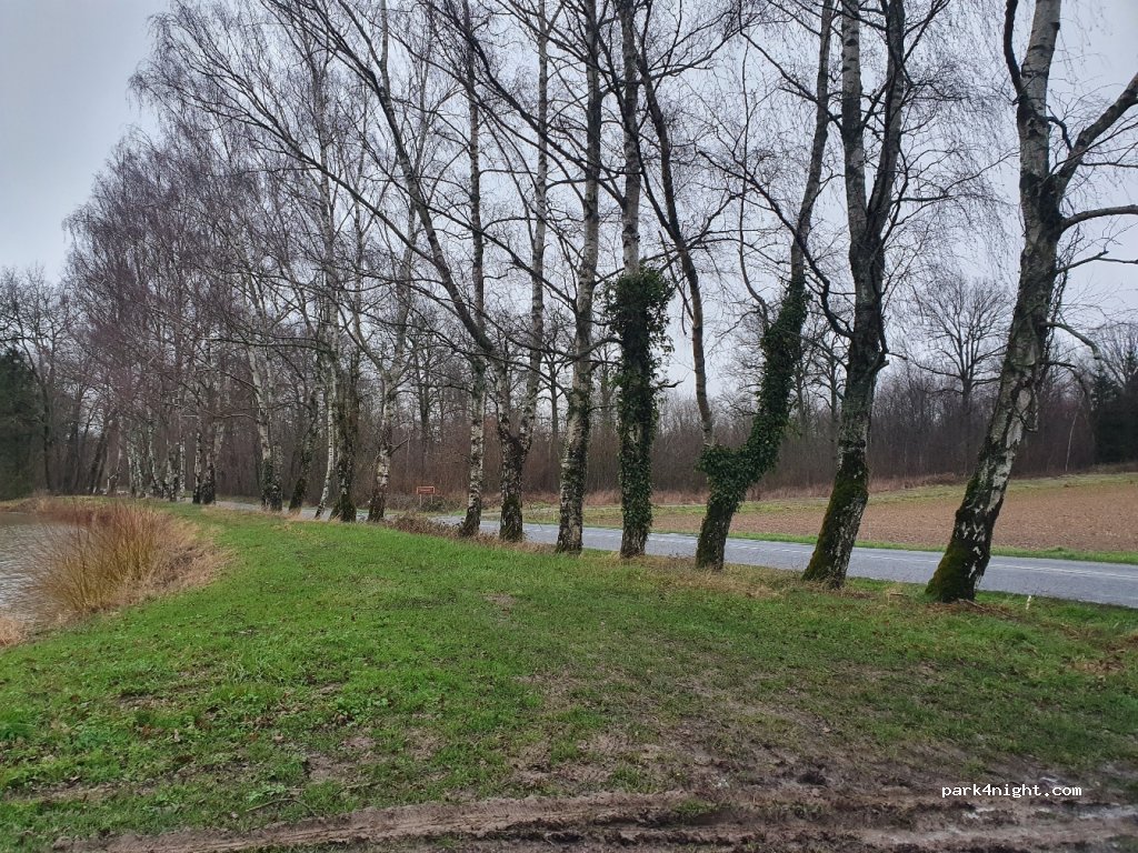 (51260) Bethon - D48 — foto 2