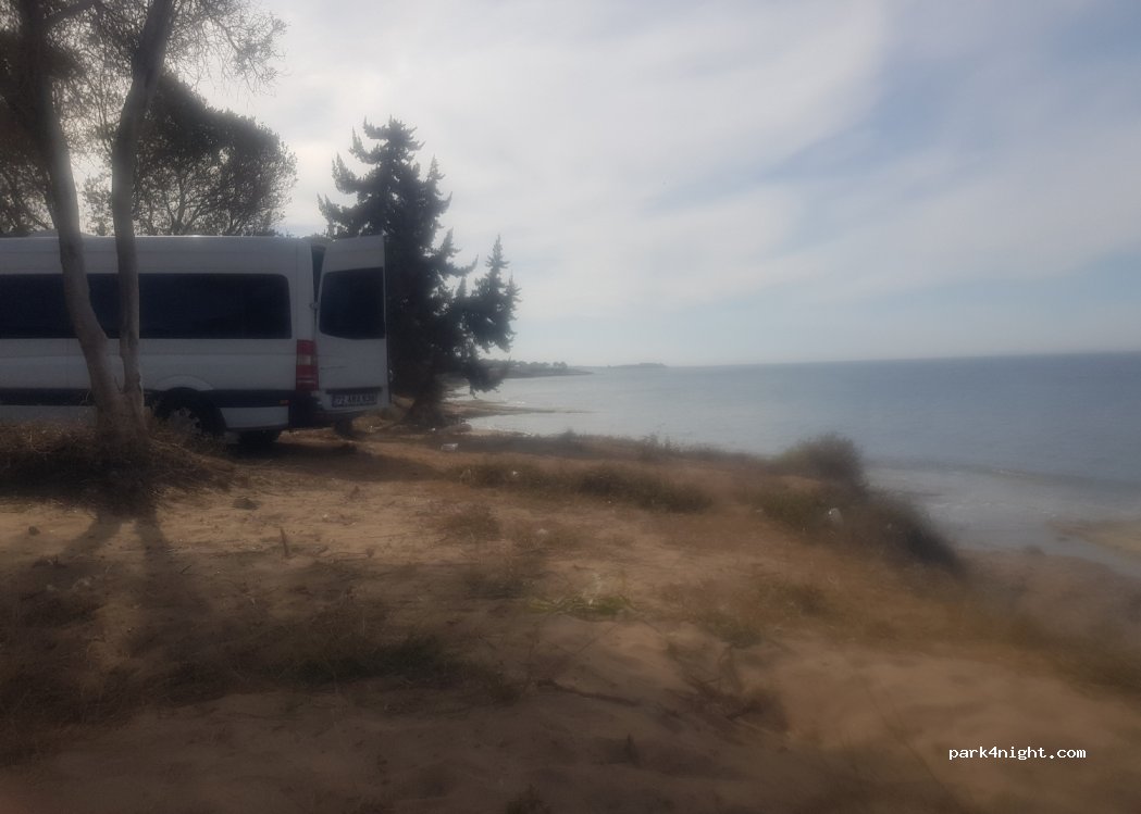 (09270) Didim - Didim Güllübahçe Yolu — foto