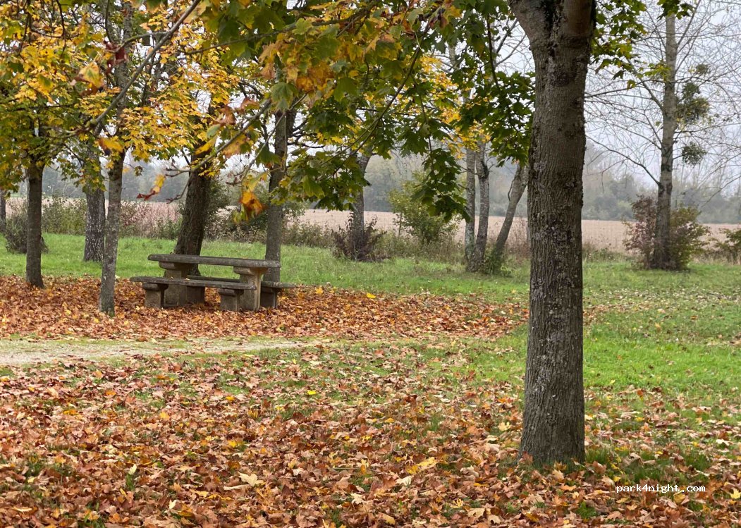 (21110) Beire-le-Fort - A39 — foto 2