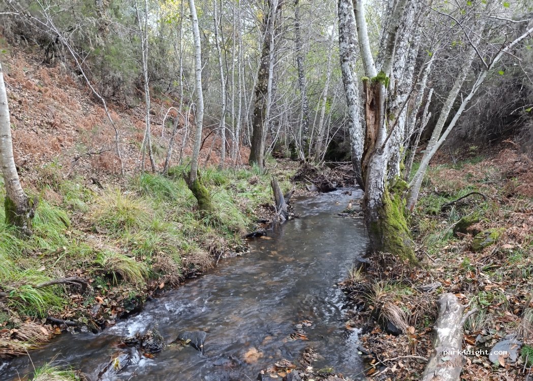 (49391) Rihonor de Castilla - Unnamed Road — foto 2