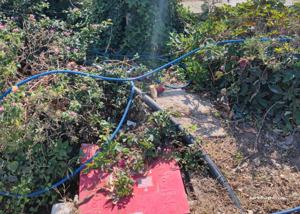 (07980) Kemer - 5 Dedeler Küme Evler — foto