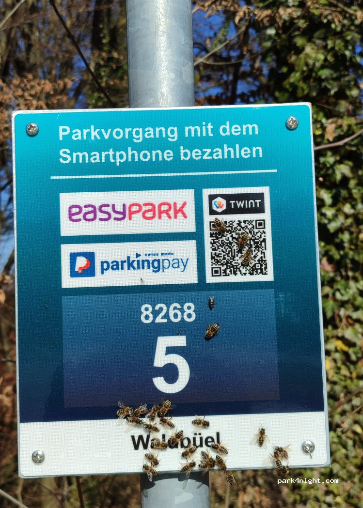 (8268) Salenstein - 19 Eugensbergstrasse — foto 5