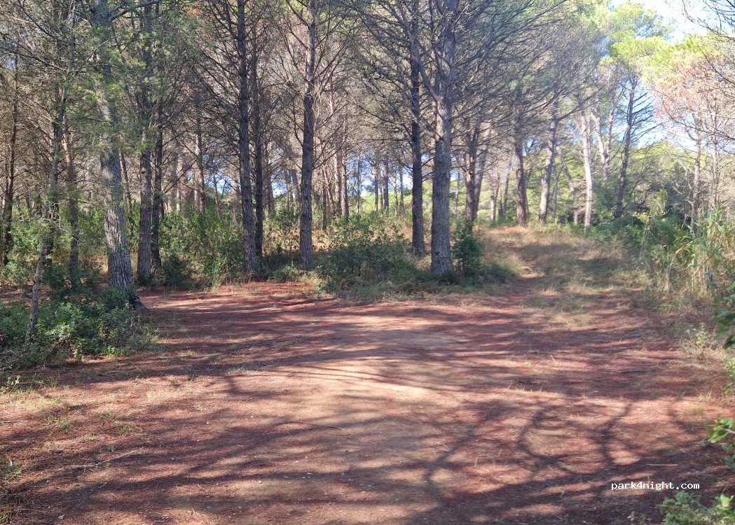 (17256) Els Masos de Pals - — foto 2