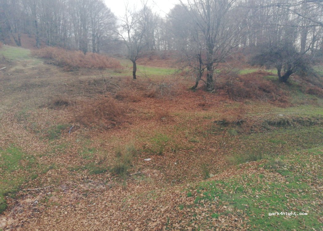 (442 00) Metsovo - — foto