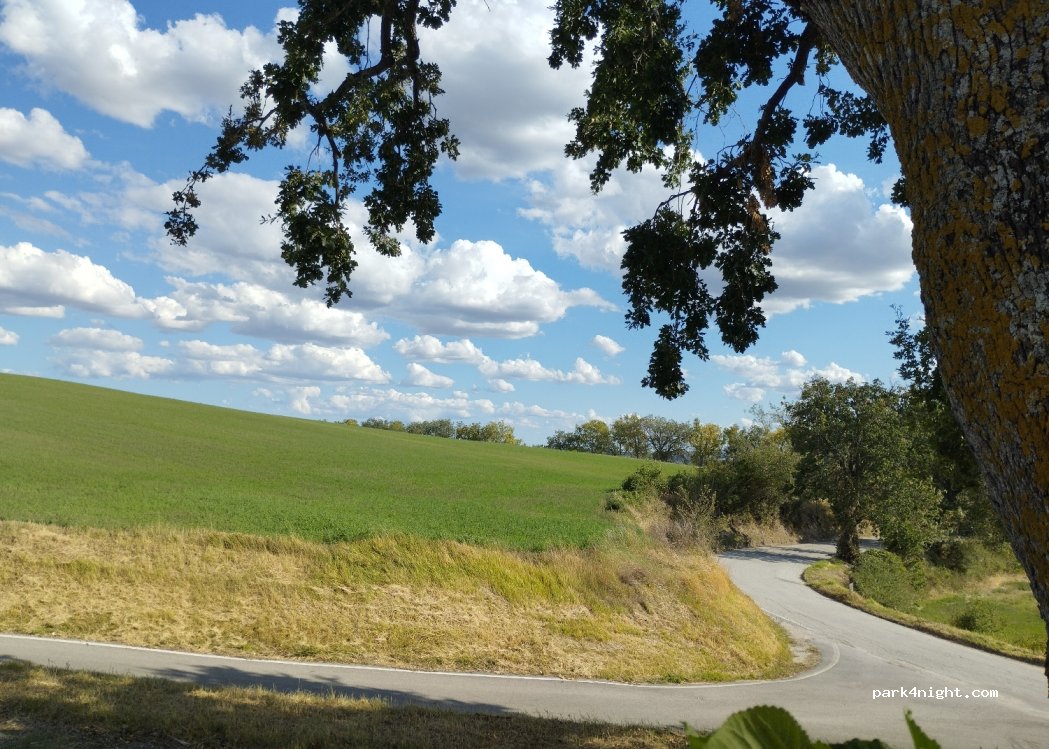 CASALE CON VISTA — foto 3