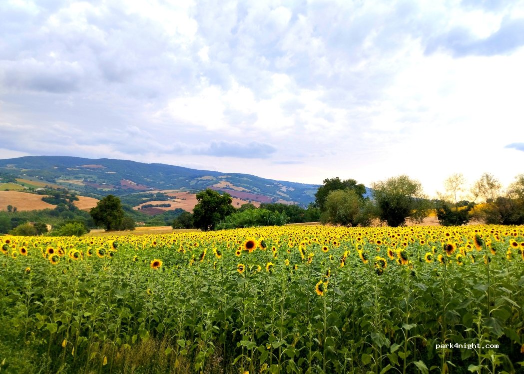 CASALE CON VISTA — foto 4