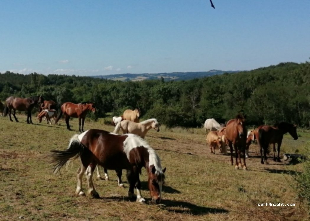 Poney club Poney City — foto 3