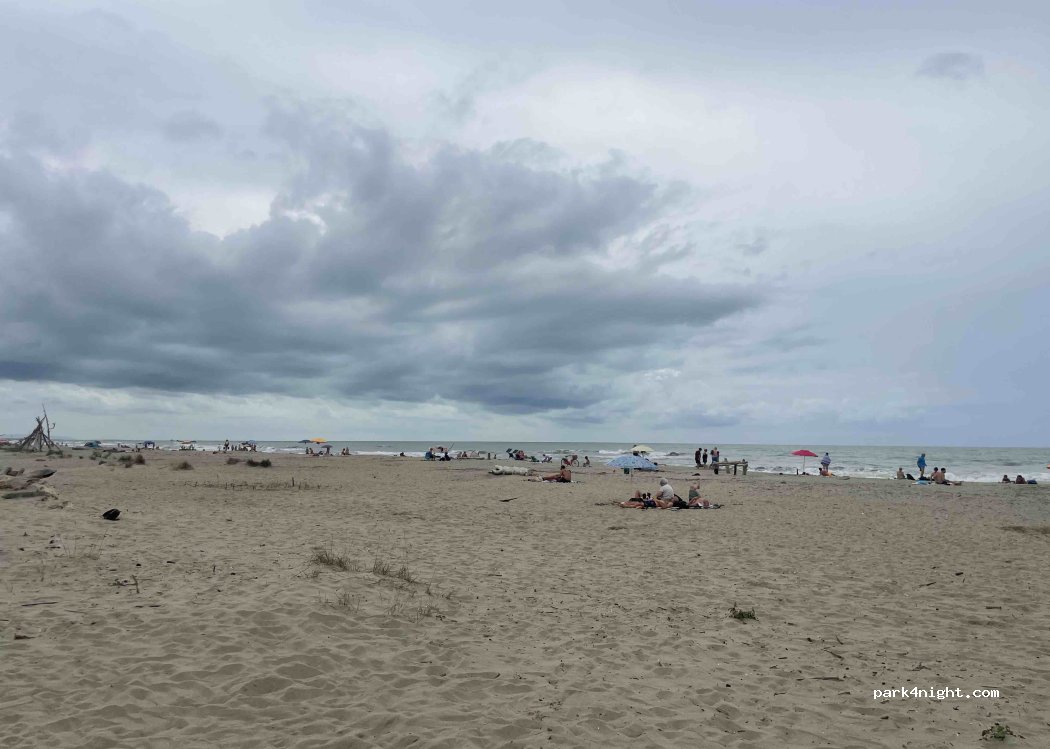 (55049) Viareggio - 173 Viale Europa — foto 5