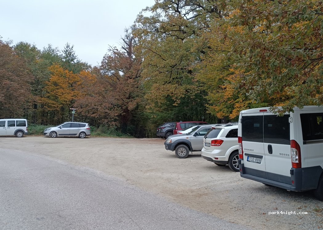 (9400) Sopron - 52 Hársfa sor — foto