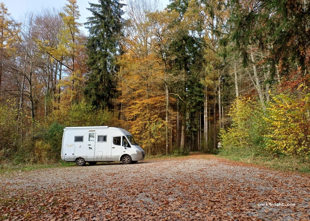 (88) Maselheim - — foto