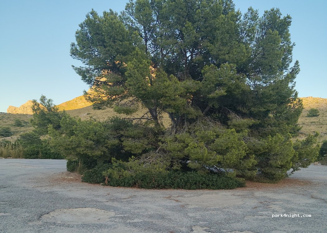 (07469) Cala Sant Vicenç - 104D Diseminado Poligono 9 — foto 3