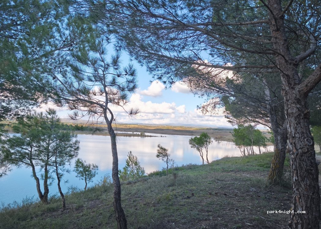 (50619) Farasdués - — foto 2
