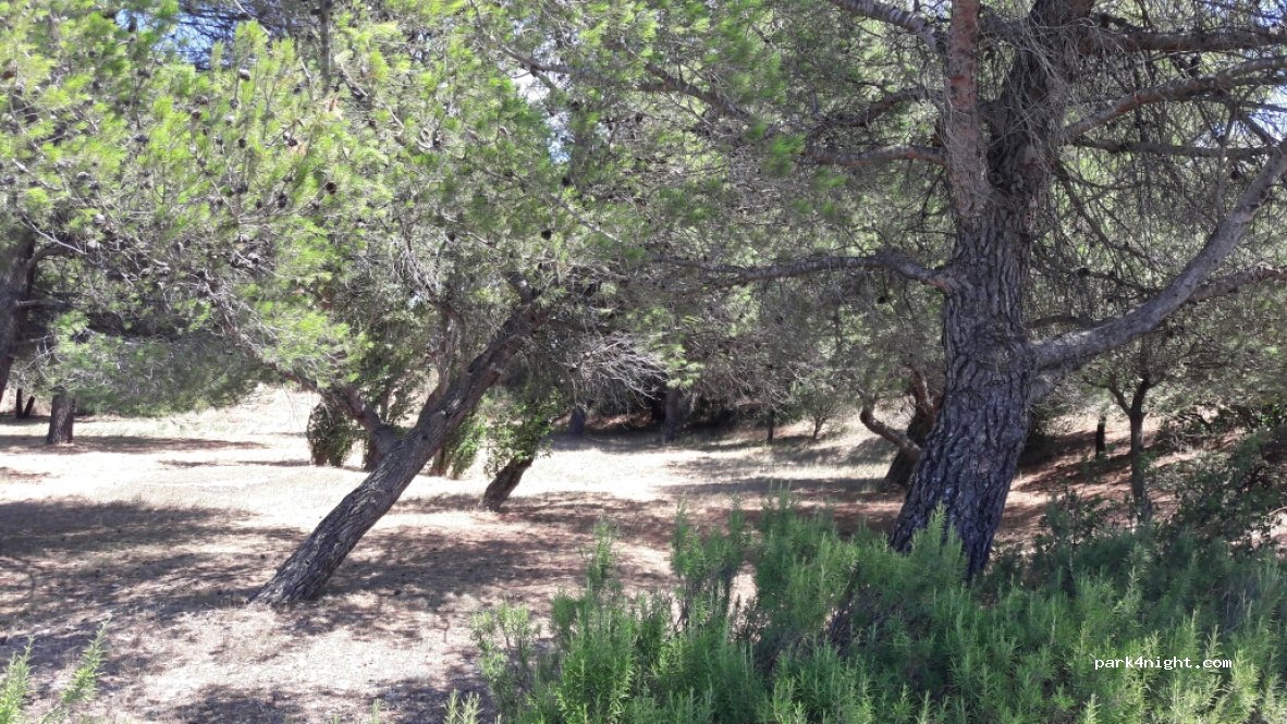 (30400) Villeneuve-lès-Avignon - D780 — foto