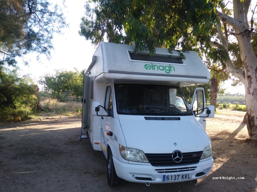 (43870) Amposta - Urbanització Eucaliptus — foto