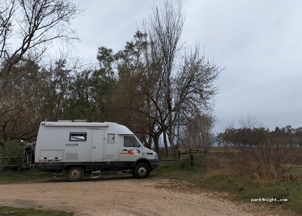 (43870) Amposta - Urbanització Eucaliptus — foto 4
