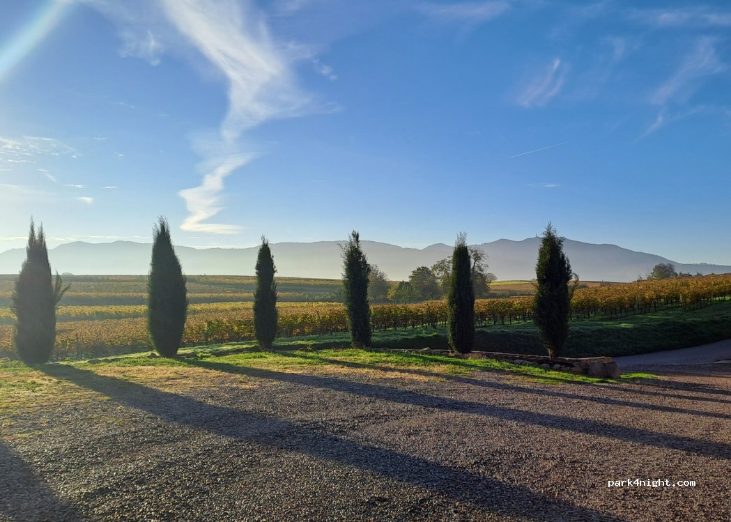 Weingut Schmidt — foto