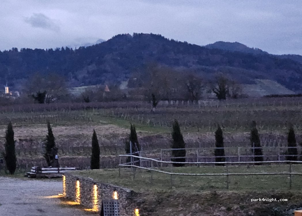 Weingut Schmidt — foto 3