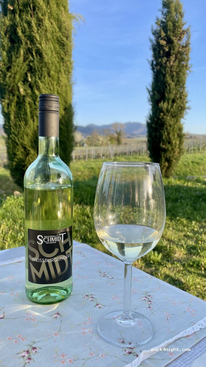 Weingut Schmidt — foto 5