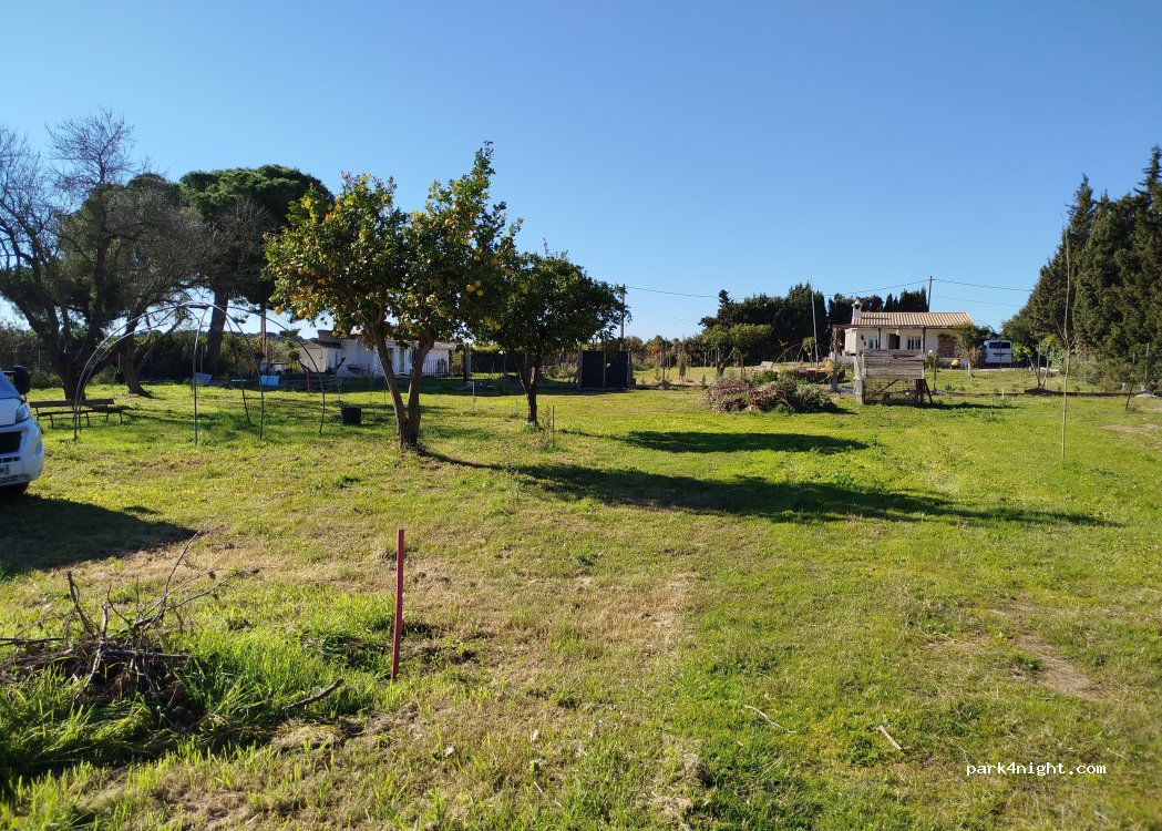 (21500) Las Moreras - 14 Paraje las Moreras — foto 3