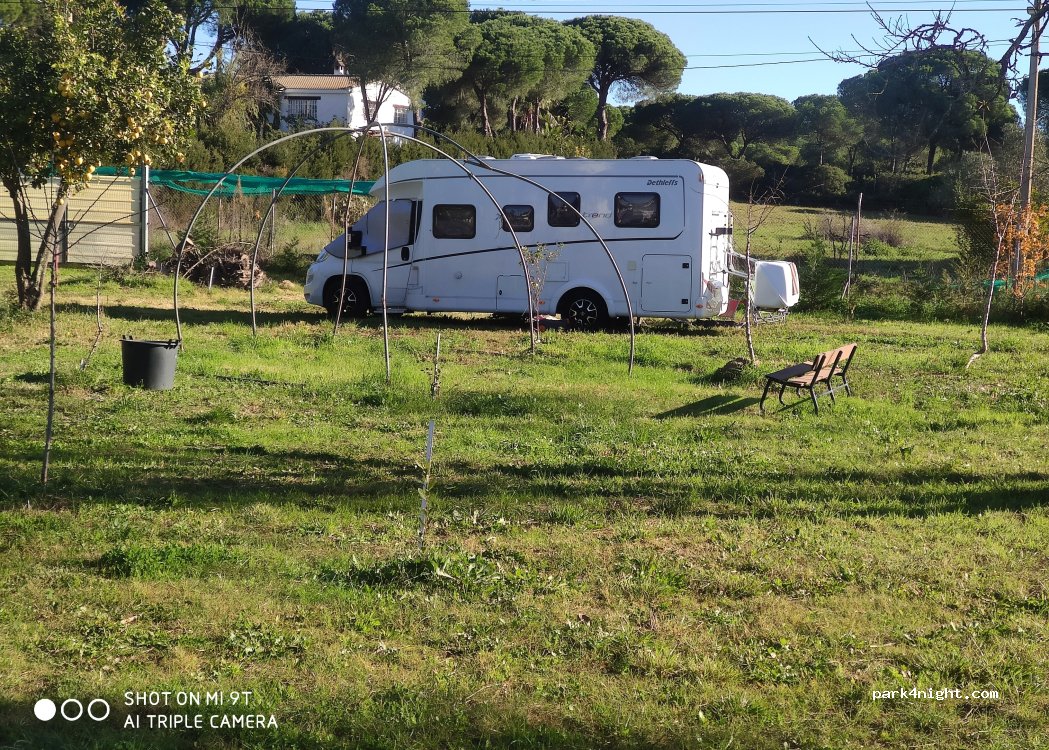 (21500) Las Moreras - 14 Paraje las Moreras — foto 4