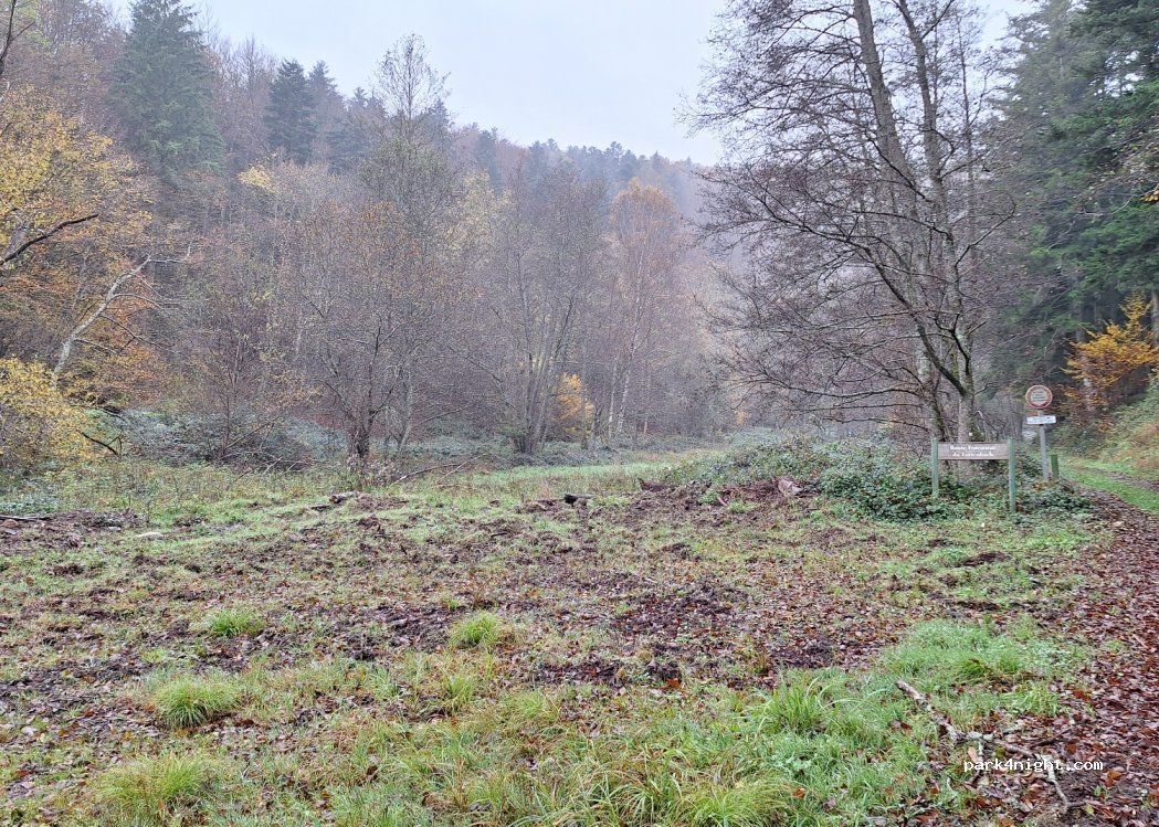 (67280) Oberhaslach - 113 Rue du Nideck — foto