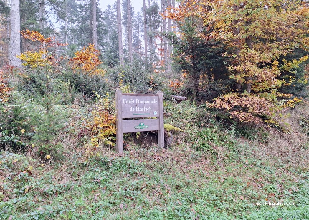 (67280) Oberhaslach - 113 Rue du Nideck — foto 3