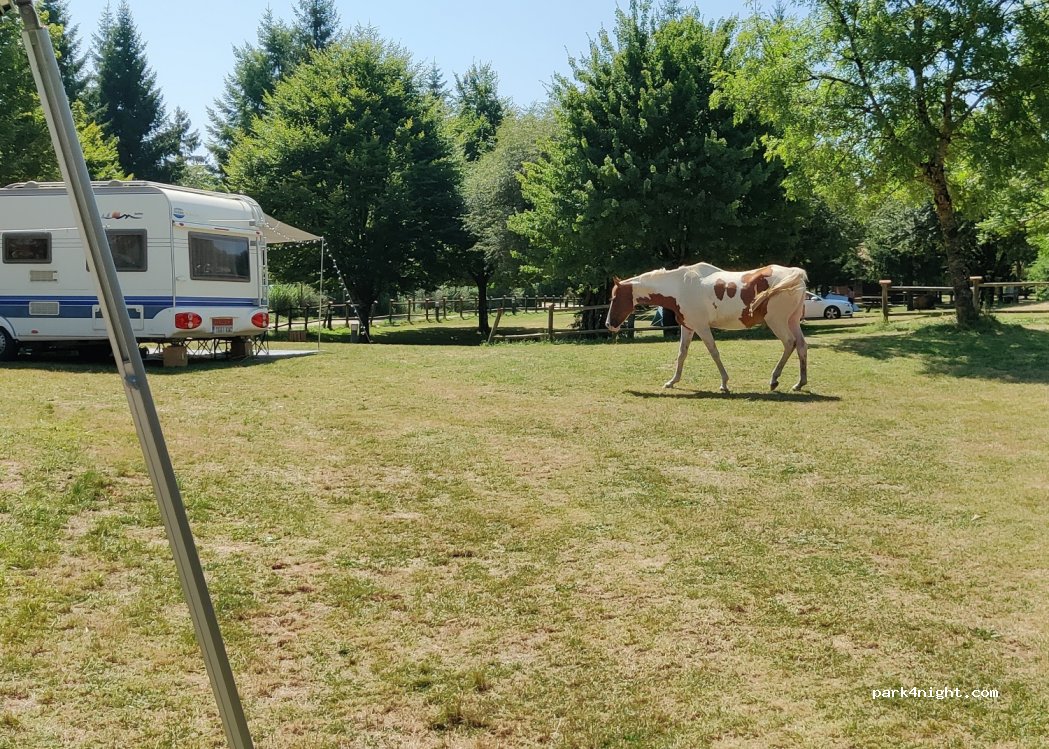 Camping Urbasa — foto 4