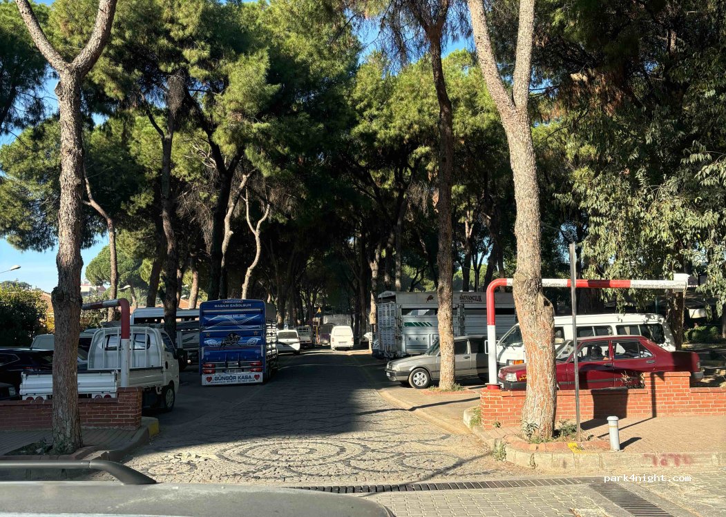 (35762) Ödemiş - 9 Namık Kemal Caddesi — foto 2